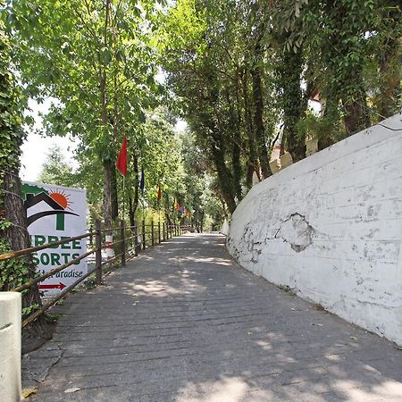 Oyo 5248 Surbee Resorts Mussoorie Εξωτερικό φωτογραφία